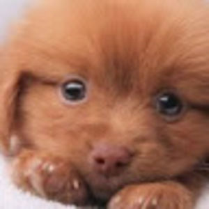 Meet your Posher, Leah-valentina